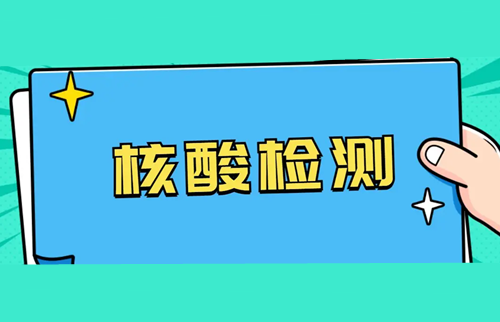 核酸.png